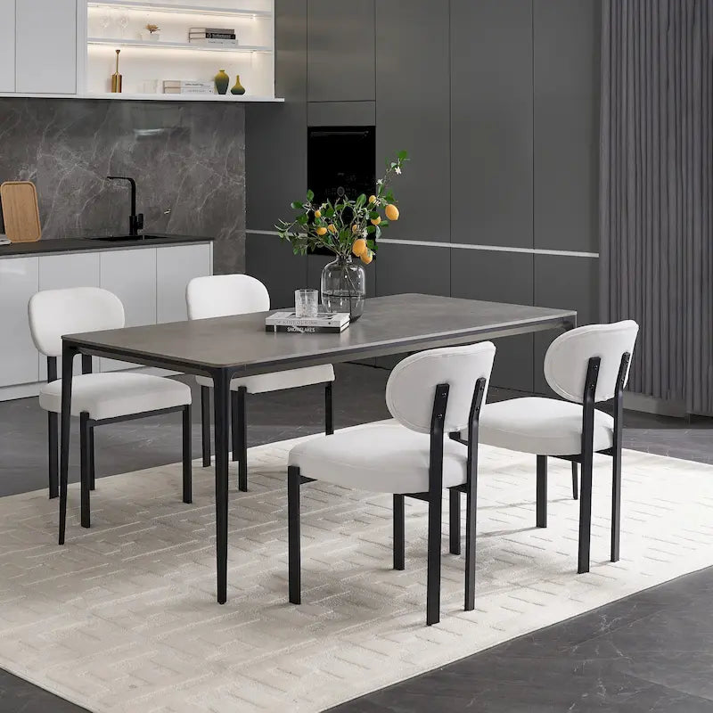 Modern Dining Room Chairs Set of 2