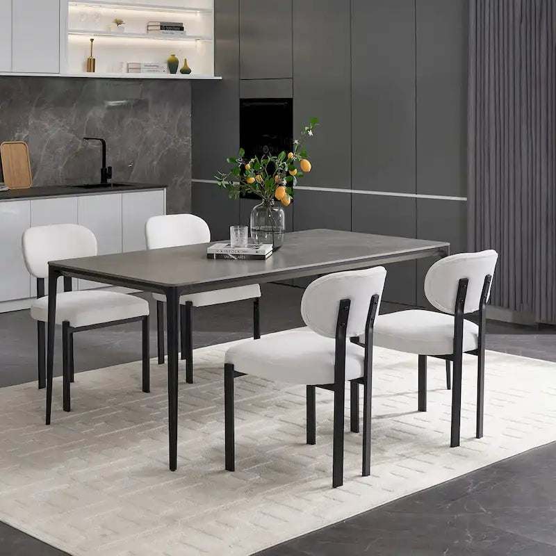 Modern Dining Room Chairs Set of 2